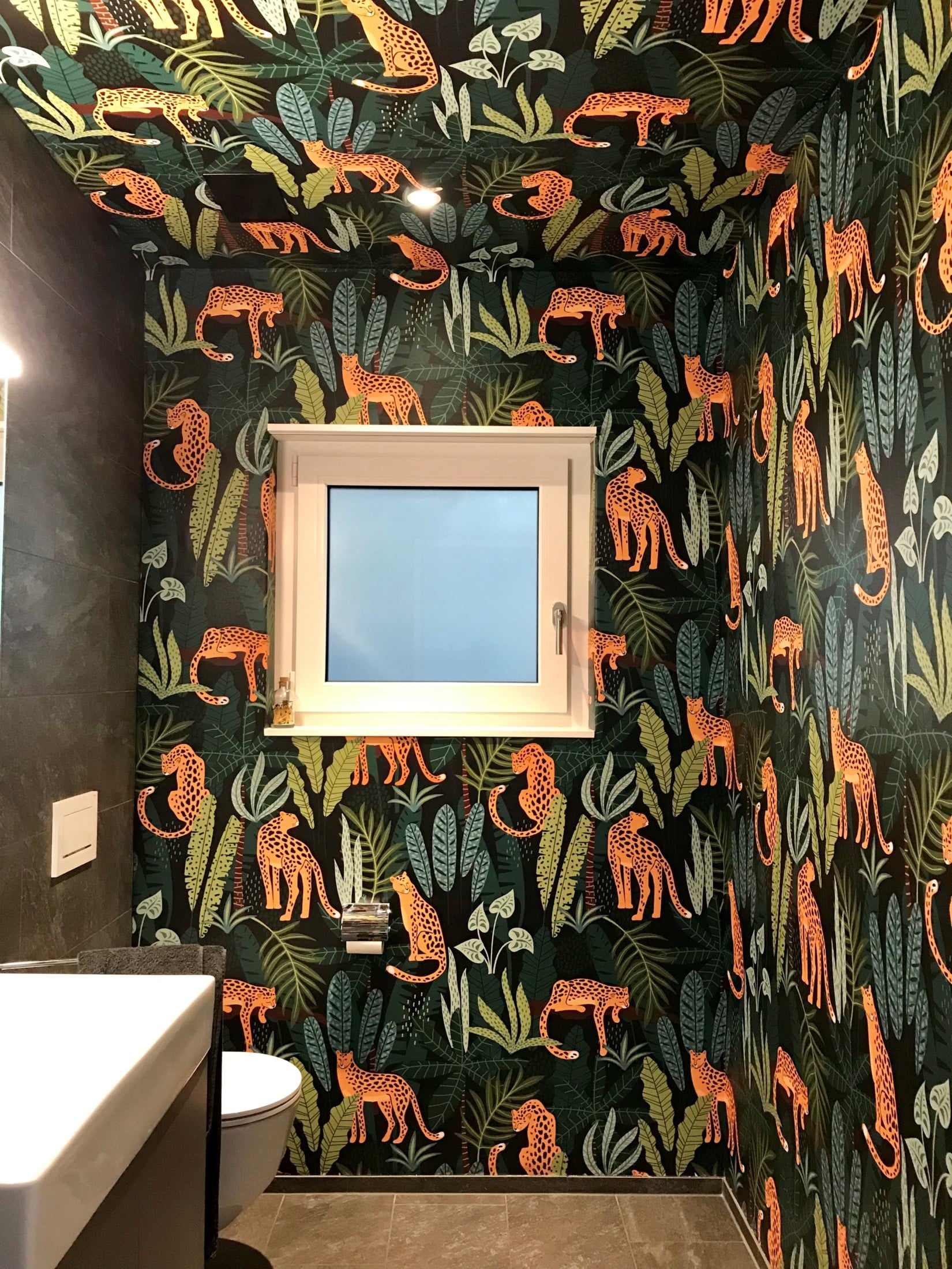 SIHL in einer Gästetoilette – Außergewöhnliche Gestaltung sorgt für optische Größe